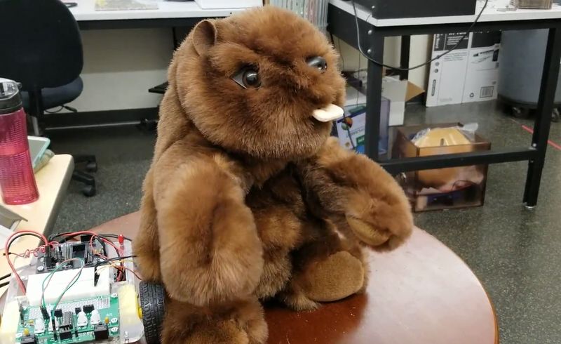 Picture of Don: The Animatronic Beaver